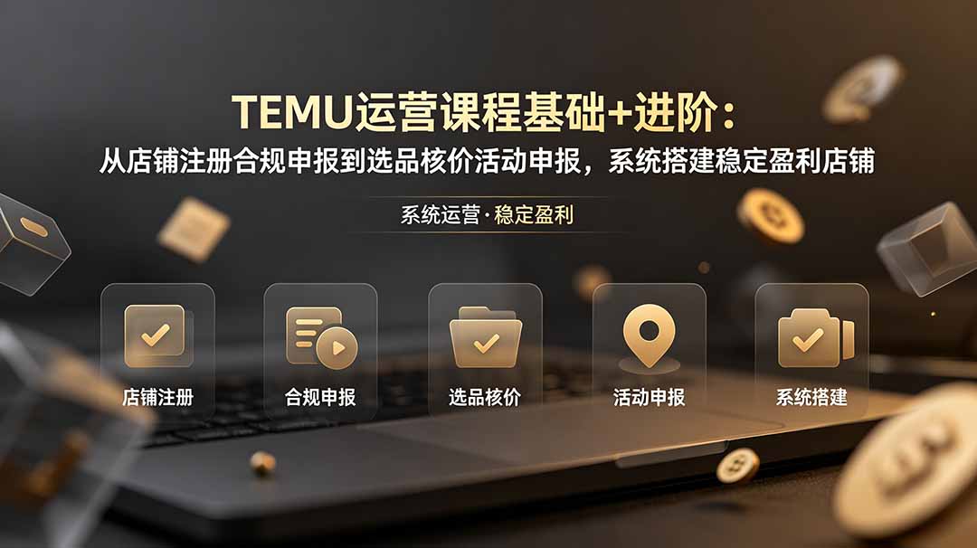 TEMU运营课程(基础+进阶-鑫梵淘