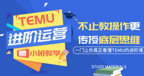 阿卡林·TEMU运营课程(基础+进阶)-鑫梵淘
