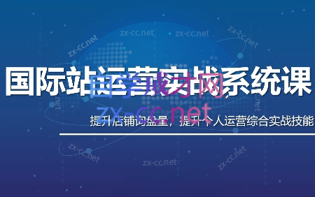白老师·国际站运营实战系统(高质量询盘增长课)(更新)-鑫梵淘