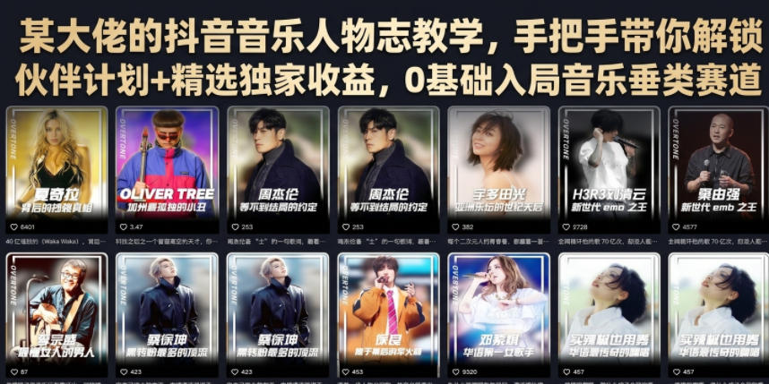 某大佬的抖音音乐人物志教学，手把手带你解锁伙伴计划+精选独家收益，0基础入局音乐垂类赛道-鑫梵淘