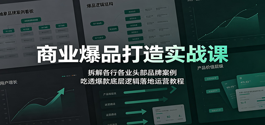 商业爆品打造实战课：拆解各行各业头部品牌案例，吃透爆款底层逻辑落地运营教程-鑫梵淘
