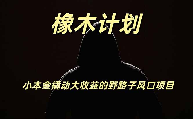 橡木计划，小投入撬动高回报的风口野路子项目，一天投入2小时左右-鑫梵淘