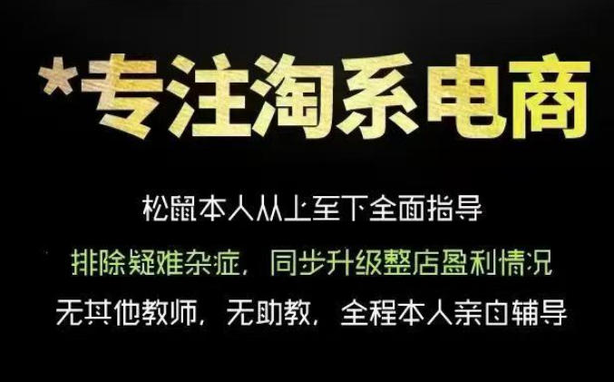 松鼠会电商VIP课程，从基础布局到高阶优化，助你掌握淘宝运营逻辑，提升店铺流量与转化(更新0809)-鑫梵淘