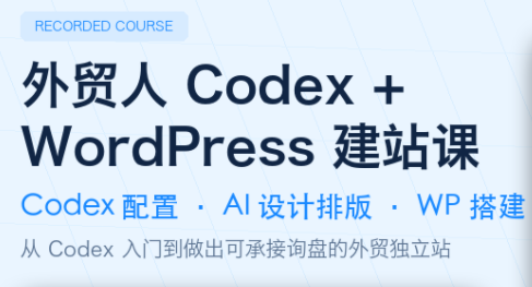 大卫·外贸人Codex + WordPress建站课(更新8月)-鑫梵淘
