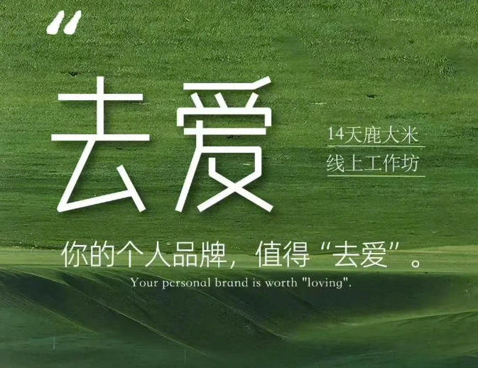 去爱14天鹿大米线上工作坊，你的个人品牌，值得“去爱”-鑫梵淘
