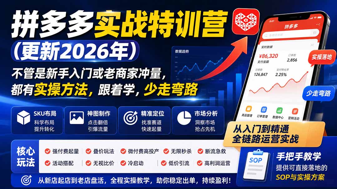 拼多多实战特训营(更新26年0827-鑫梵淘