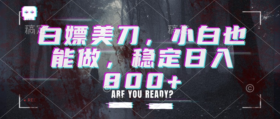 白嫖美刀，小白也能做，稳定日入800+-鑫梵淘