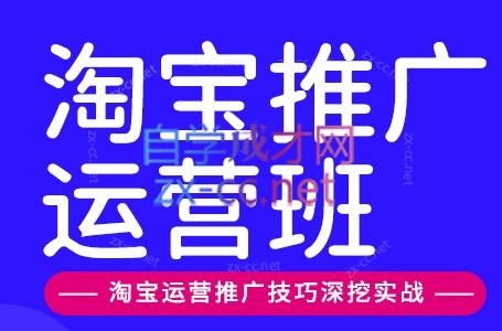 美迪电商·淘宝高级运营班+推广运营班(更新9月)-鑫梵淘
