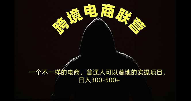 跨境电商联营，一个不一样的电商，普通人可操作日入300-500+-鑫梵淘