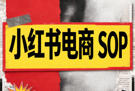 书豪必胜小红书电商sop(更新9月)-鑫梵淘