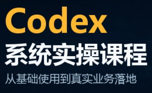 codex系统实操课程(更新10月)-鑫梵淘