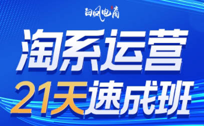 白凤电商·淘系运营21天速成班(更新10月)-鑫梵淘