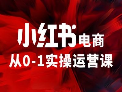 小红书电商从0-1实操运营课，让你从小白到精英-鑫梵淘