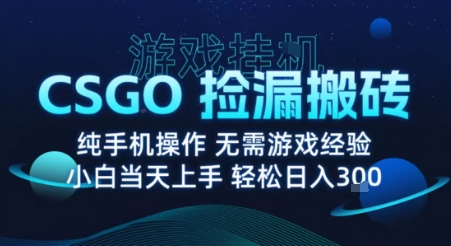 8月最新游戏搬砖，CSGO纯挂G，不需要玩游戏，实现真挂G，月入1W+【揭秘】-鑫梵淘