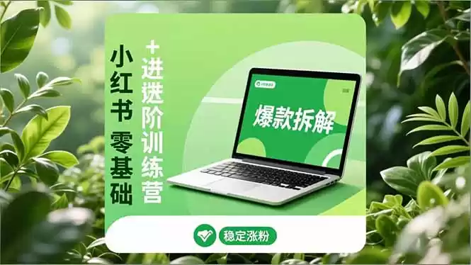 小红书零基础+高阶训练营：安全养号、爆款拆解、长效运营，实现稳定涨粉与变现-鑫梵淘