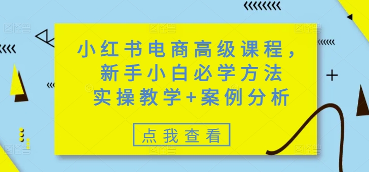 小红书电商高级课程，新手小白必学方法，实操教学+案例分析-鑫梵淘
