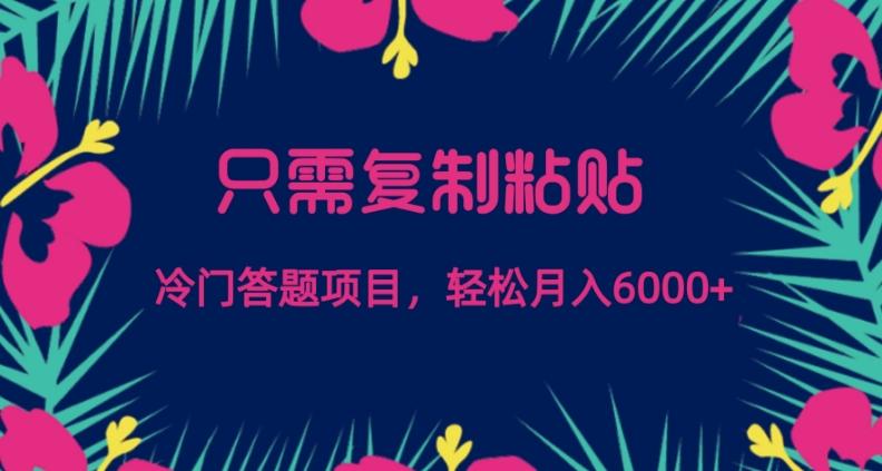 只需复制粘贴，冷门答题项目，轻松月入6000-鑫梵淘