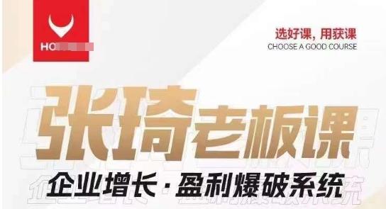 【组合课】张琦张琦老板企业增长·盈利爆破系统（直播专享）-鑫梵淘