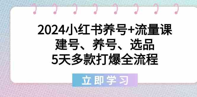 2024小红书养号+流量课：建号、养号、选品，5天多款打爆全流程-鑫梵淘