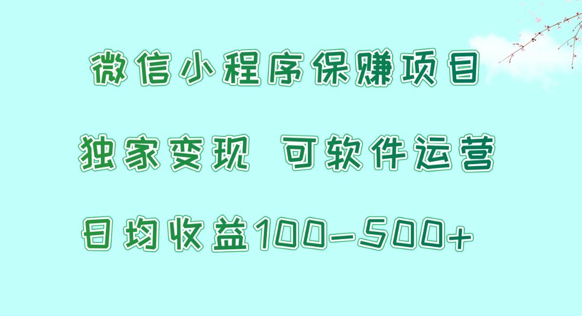 微信小程序保赚项目，日均收益100~500+，独家变现，可软件运营-鑫梵淘