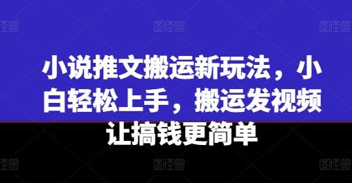 小说推文搬运新玩法，小白轻松上手，搬运发视频让搞钱更简单-鑫梵淘