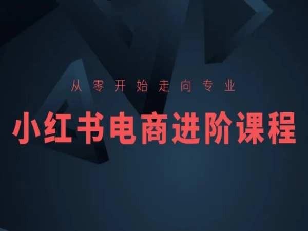 从零开始走向专业，小红书电商进阶课程-鑫梵淘