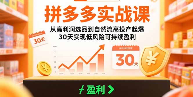 拼多多实战课：从高利润选品到自然流高投产起爆 30天实现低风险可持续盈利-鑫梵淘