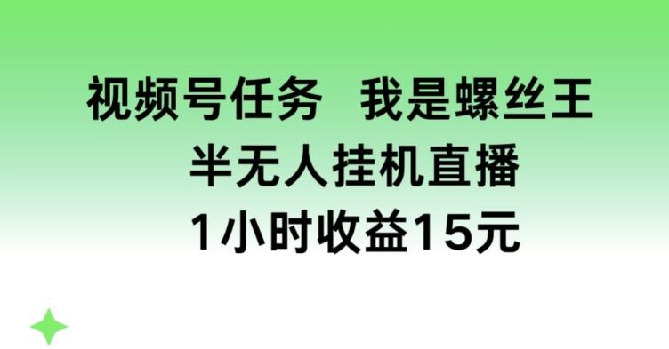 视频号任务，我是螺丝王， 半无人挂机1小时收益15元【揭秘】-鑫梵淘