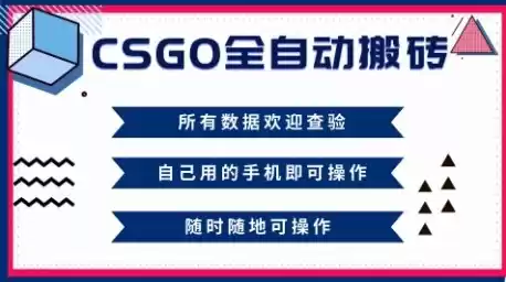 CSGO全自动搬砖，年底钱回家好项目，当天可拿到结果，新手小白轻松月入1W+【揭秘】-鑫梵淘