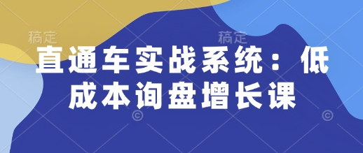 直通车实战系统：低成本询盘增长课，让个人通过技能实现升职加薪，让企业低成本获客，订单源源不断-鑫梵淘