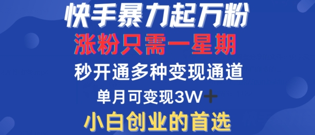 快手暴力起万粉，涨粉只需一星期，多种变现模式，直接秒开万合，单月变现过W【揭秘】-鑫梵淘