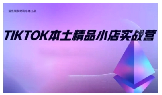 TikTok本土精品小店出海实战营，从入门到高阶，不止0-1!-鑫梵淘