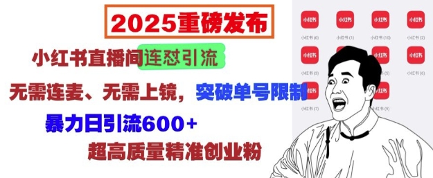 2025重磅发布：小红书直播间连怼引流，无需连麦、无需上镜，突破单号限制，暴力日引流600+-鑫梵淘