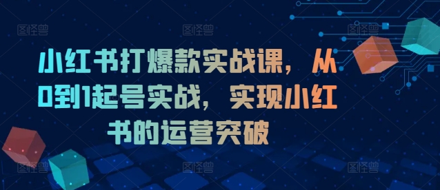 小红书打爆款实战课，从0到1起号实战，实现小红书的运营突破-鑫梵淘