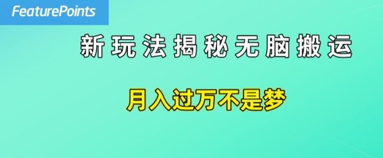 简单操作，每天50美元收入，搬运就是赚钱的秘诀【揭秘】-鑫梵淘