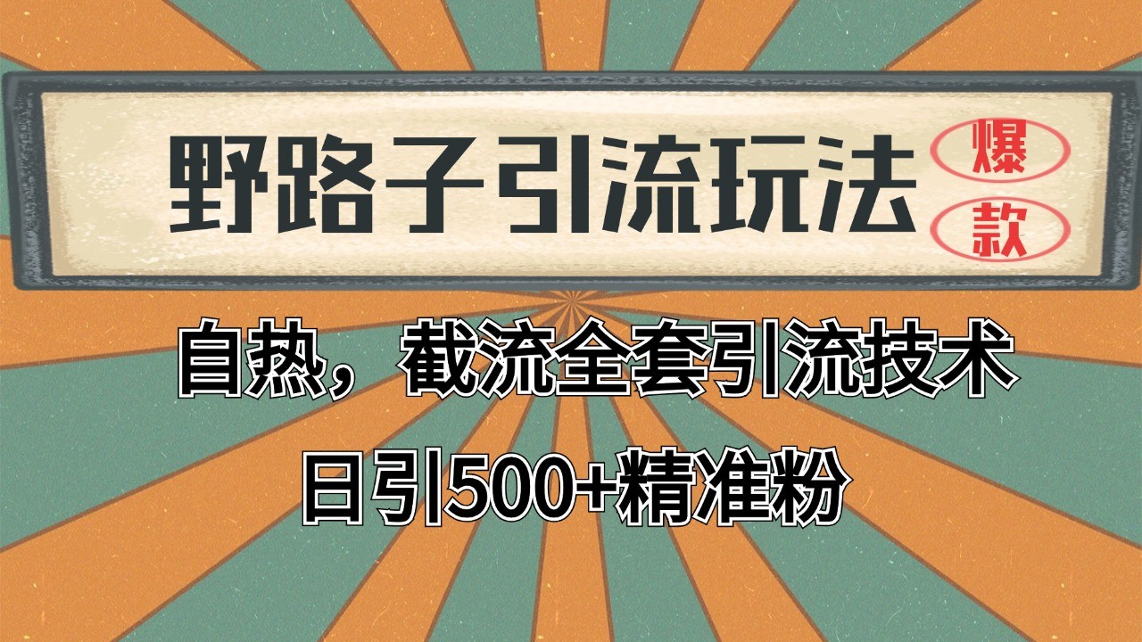 抖音小红书视频号全平台引流打法，全自动引流日引2000+精准客户-鑫梵淘