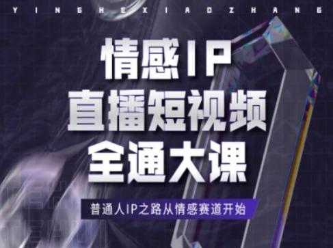 情感IP直播短视频全通大课，普通人IP之路从情感赛道开始-鑫梵淘