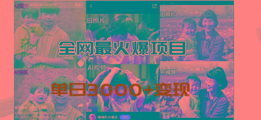 全网爆火的AI让老照片动起来教程，蹭热点日赚3000+，内含免费工具一键...-鑫梵淘