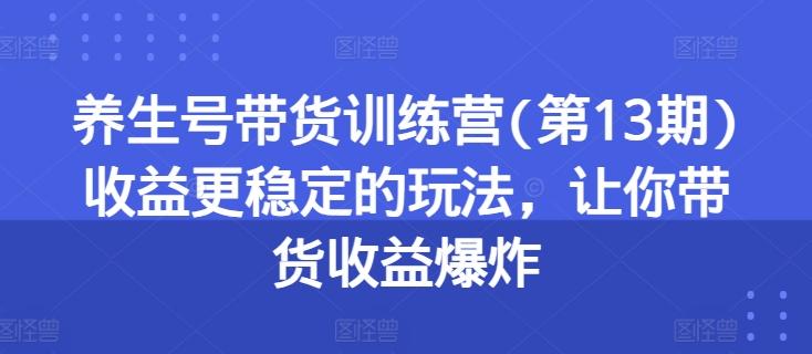 养生号带货训练营(第13期)收益更稳定的玩法，让你带货收益爆炸-鑫梵淘