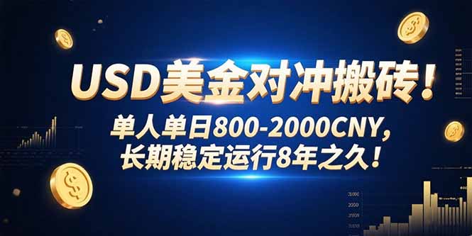 USD美金对冲搬砖!单人单日800-2000CNY，长期稳定运行8年之久!-鑫梵淘
