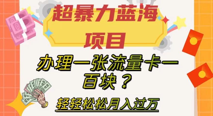 超暴力蓝海项目，办理一张流量卡一百块？轻轻松松月入过万，保姆级教程【揭秘】-鑫梵淘
