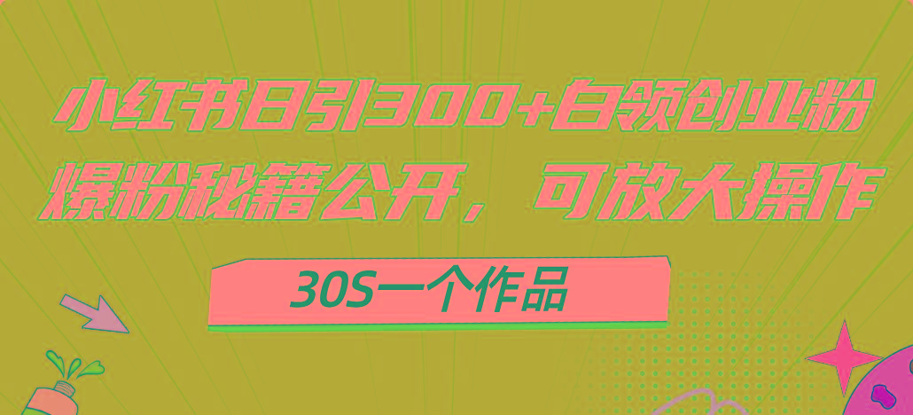 小红书日引300+高质白领创业粉，可放大操作，爆粉秘籍！30s一个作品-鑫梵淘