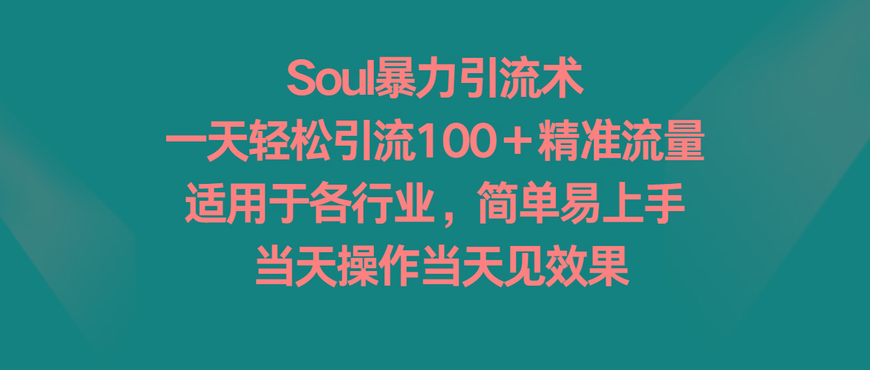 Soul暴力引流术，一天轻松引流100＋精准流量，适用于各行业，简单易上手！-鑫梵淘
