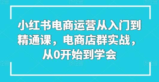 小红书电商运营从入门到精通课，电商店群实战，从0开始到学会-鑫梵淘