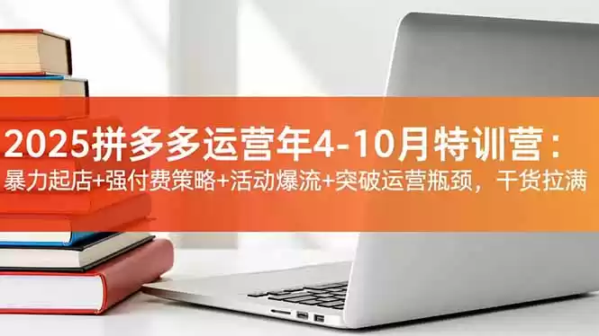 2025拼多多运营年4-10月特训营：暴力起店+强付费策略+活动爆流+突破运营瓶颈，干货拉满-鑫梵淘