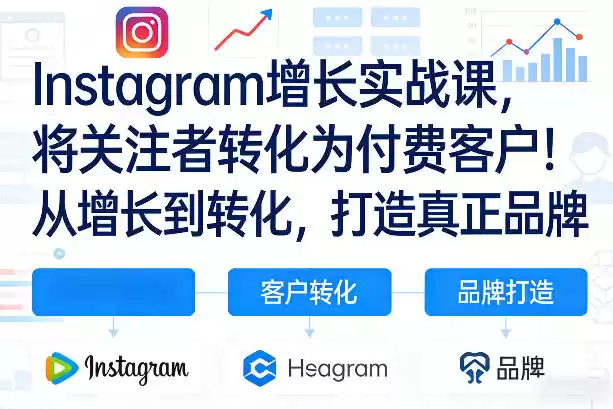 Instagram增长实战课，将关注者转化为付费客户！从增长到转化，打造真正品牌(双语字幕)-鑫梵淘