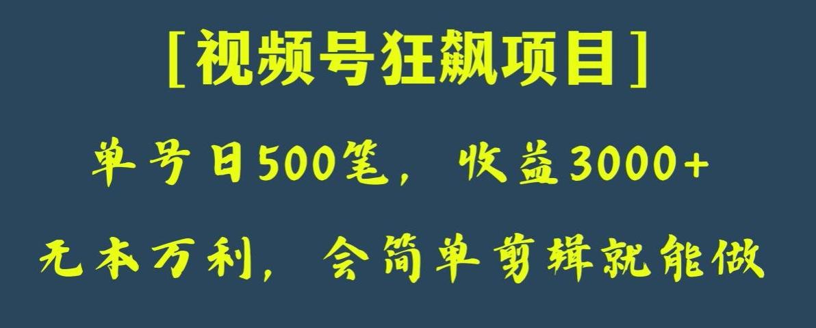 日收款500笔，纯利润3000+，视频号狂飙项目，会简单剪辑就能做【揭秘】-鑫梵淘