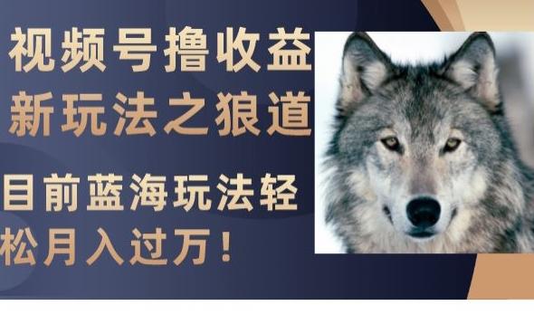 视频号撸收益新玩法之狼道，目前蓝海玩法，轻松月入过万【揭秘】-鑫梵淘