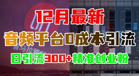 12月最新：音频平台0成本引流，日引流300+精准创业粉-鑫梵淘