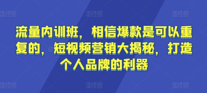 流量内训班，相信爆款是可以重复的，短视频营销大揭秘，打造个人品牌的利器-鑫梵淘